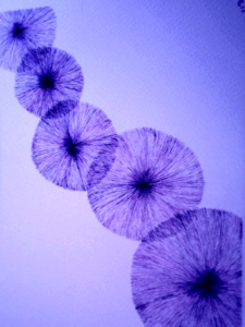 arte2
