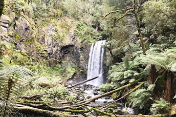 IN OCEANIA: PIANTE SCIAMANICHE + SCUOLA COSCIENTE + INTEGRAZIONE PSICOTERAPEUTICA. Arriva in Australia l’originale modello di sviluppo interiore che si sta diffondendo in tutto il mondo.